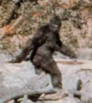Bigfoot from Patterson-Gimlin film