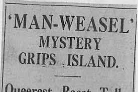man-weasel headline