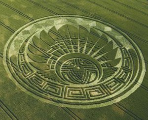 Mayan style crop circle