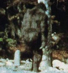 Bigfoot's backside